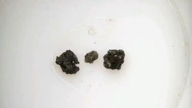 Sotheby's subasta los únicos tres fragmentos de Luna que permanecen en manos privadas