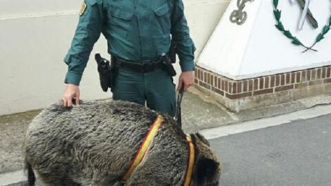GC