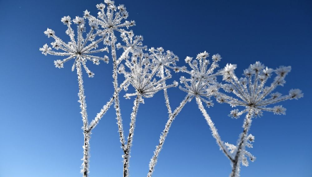  Paisaje de invierno (01-12-2018)