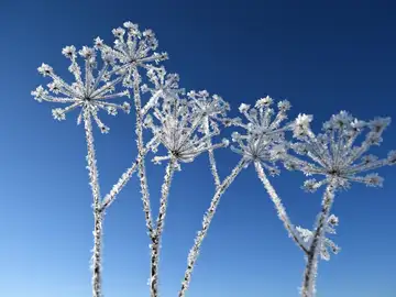 Paisaje de invierno (01-12-2018) Paisaje de invierno (01-12-2018)