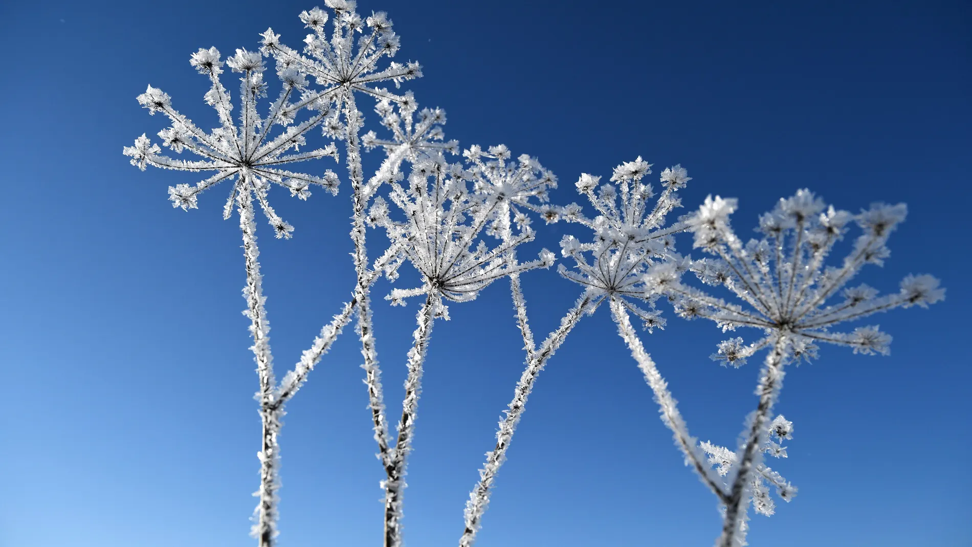 Paisaje de invierno (01-12-2018) Paisaje de invierno (01-12-2018)