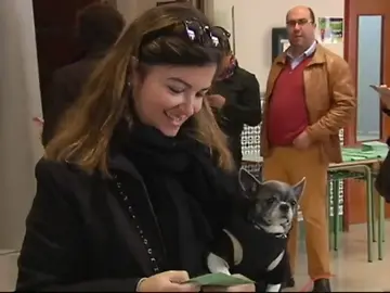 Las anécdotas de la jornada electoral en Andalucía Las anécdotas de la jornada electoral en Andalucía