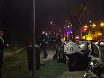 Fallece un conductor al estrellar su vehículo contra un árbol Fallece un conductor al estrellar su vehículo contra un árbol
