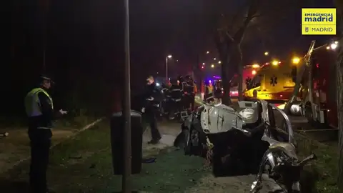 Fallece un conductor al estrellar su vehículo contra un árbol Fallece un conductor al estrellar su vehículo contra un árbol