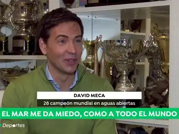 DavidMecaA3D DavidMecaA3D