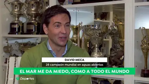 DavidMecaA3D DavidMecaA3D
