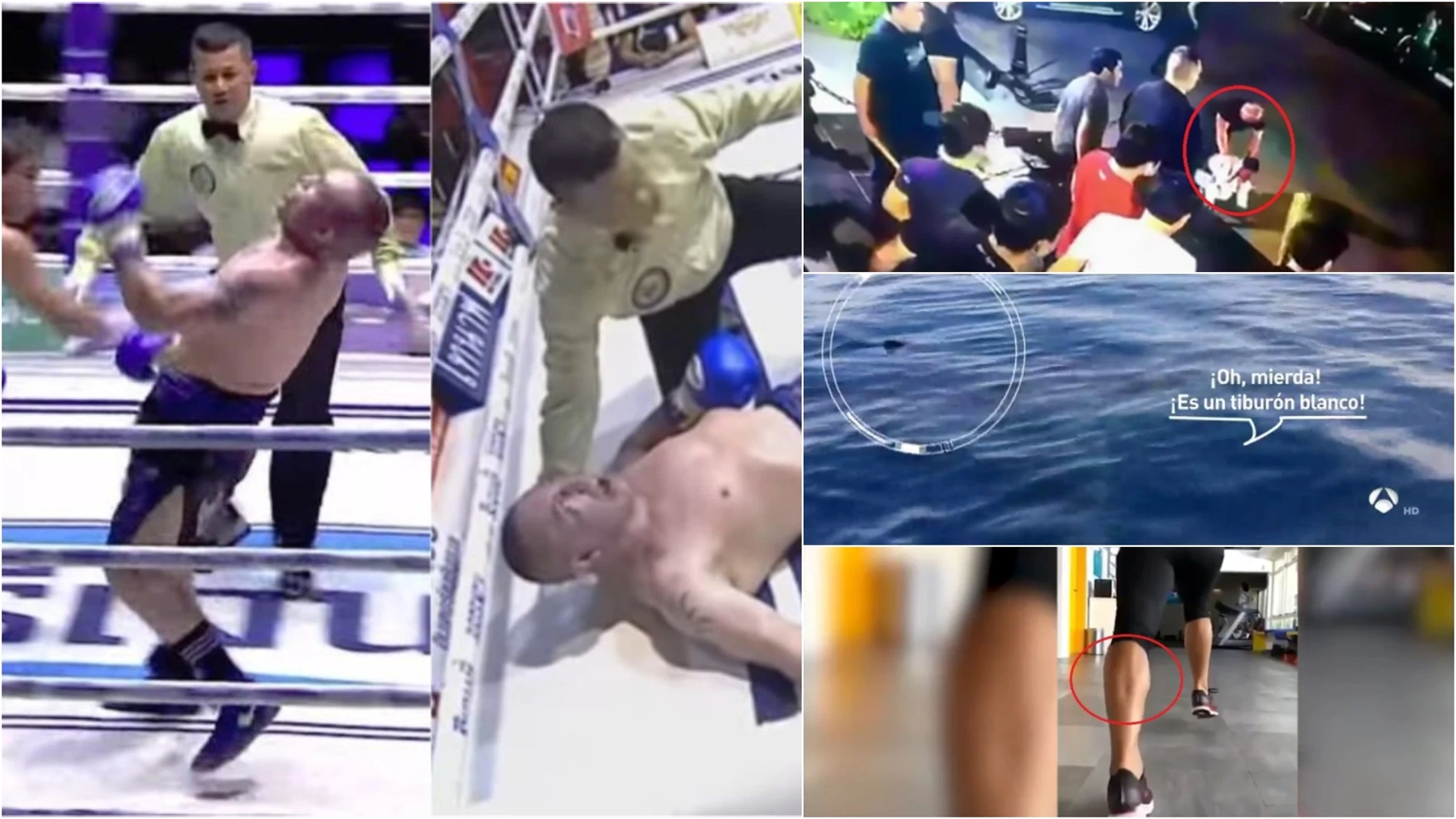 Los vídeos más virales de 2018 en Antena 3 Deportes Los vídeos más virales de 2018 en Antena 3 Deportes