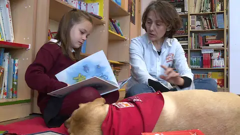 perro lector perro lector