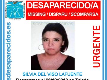 Silvia del Viso, desaparecida en Toledo