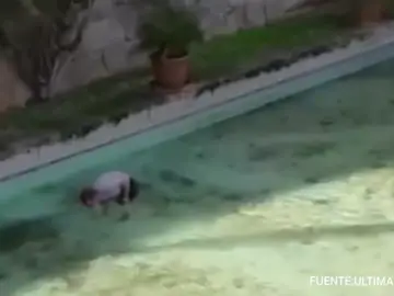 Graban a un hombre cogiendo las monedas del lago de s'Hort des Rei Graban a un hombre cogiendo las monedas del lago de s'Hort des Rei