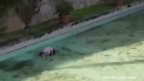 Graban a un hombre cogiendo las monedas del lago de s'Hort des Rei Graban a un hombre cogiendo las monedas del lago de s'Hort des Rei