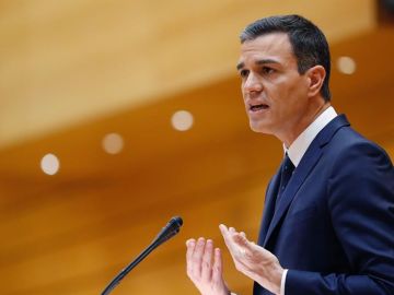 El presidente del Gobierno, Pedro Sánchez, en el Senado