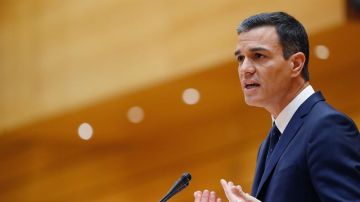 El presidente del Gobierno, Pedro Sánchez, en el Senado