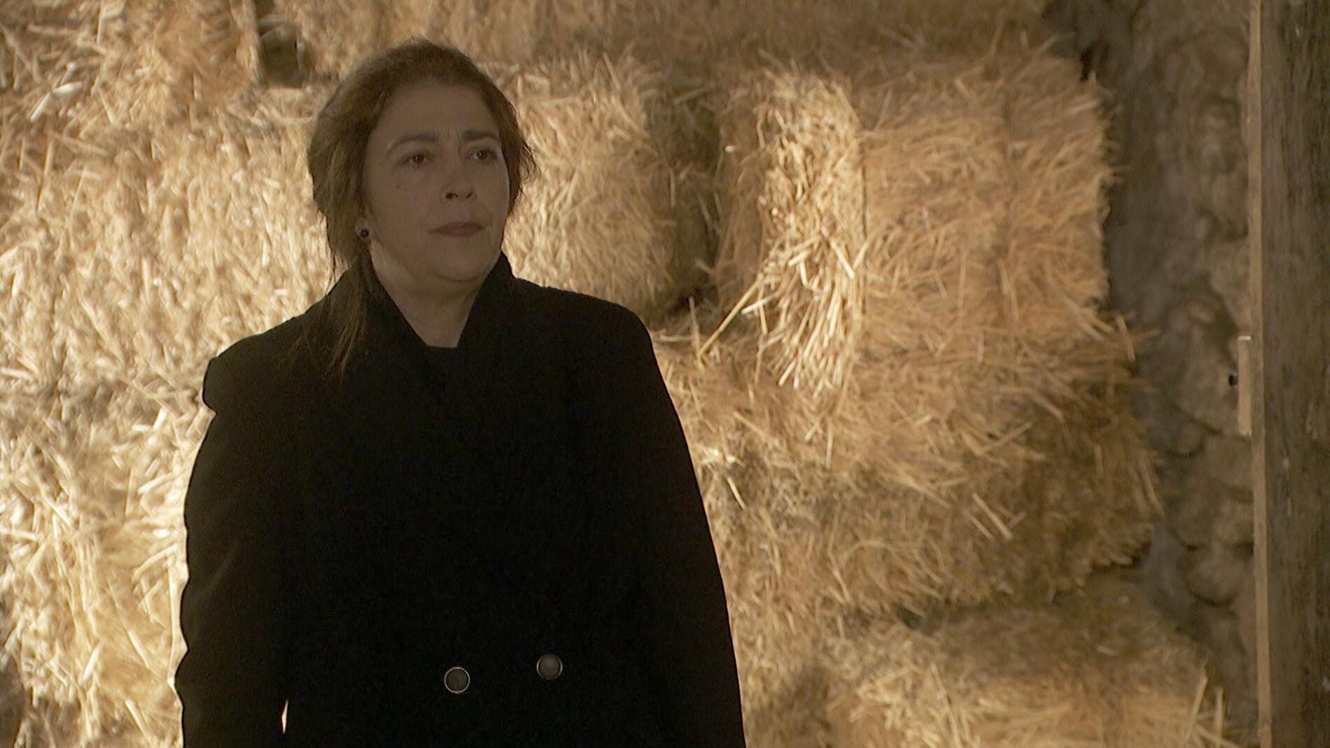 Francisca Montenegro aparece en el rescate: "Fernando Mes&iacute;a, esto acaba aqu&iacute;" 