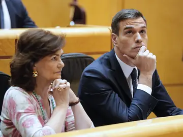 Pedro Sánchez y Carmen Calvo en la la sesión plenaria del Senado. Pedro Sánchez y Carmen Calvo en la la sesión plenaria del Senado.