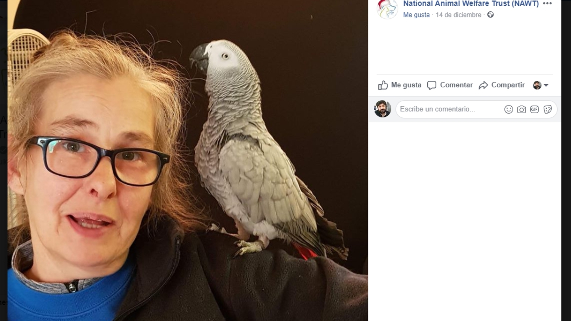 Rocco con Marion Wischnewski