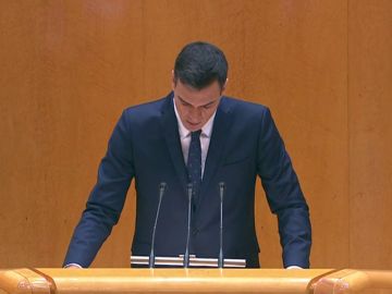 Pedro Sánchez comparece en el Senado tres días antes del 21-D Pedro Sánchez comparece en el Senado tres días antes del 21-D