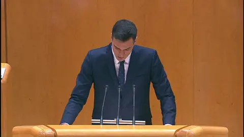 Pedro Sánchez comparece en el Senado tres días antes del 21-D Pedro Sánchez comparece en el Senado tres días antes del 21-D