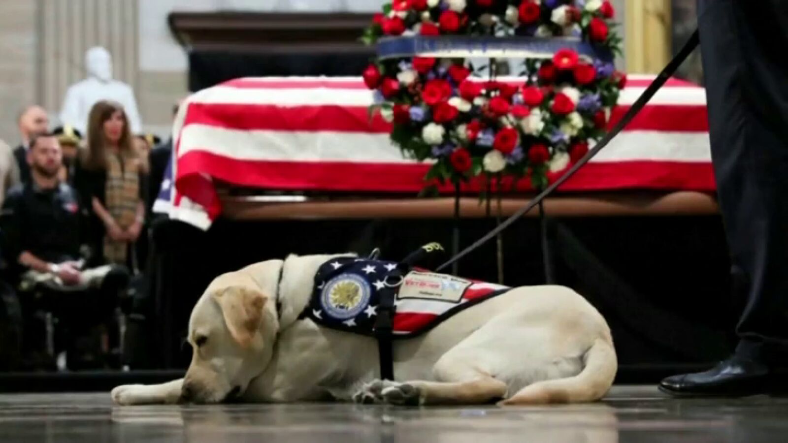 Sully, el perro del expresidente George Bush, regresa a la organización que se lo cedió para que superara la muerte de su esposa
