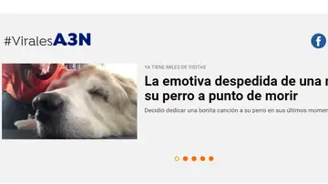 ViralesA3N ViralesA3N