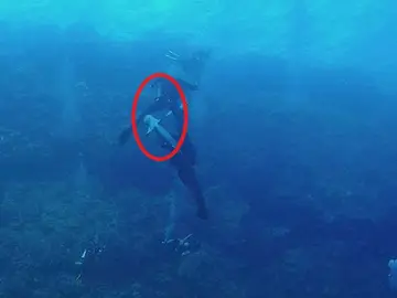 El ataque de un tiburón El ataque de un tiburón