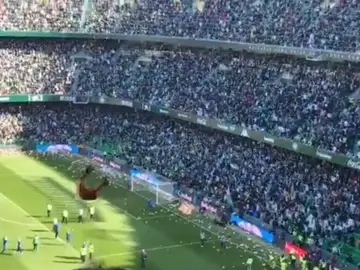 Una lluvia de peluches cae sobre el césped del Benito Villamarín Una lluvia de peluches cae sobre el césped del Benito Villamarín
