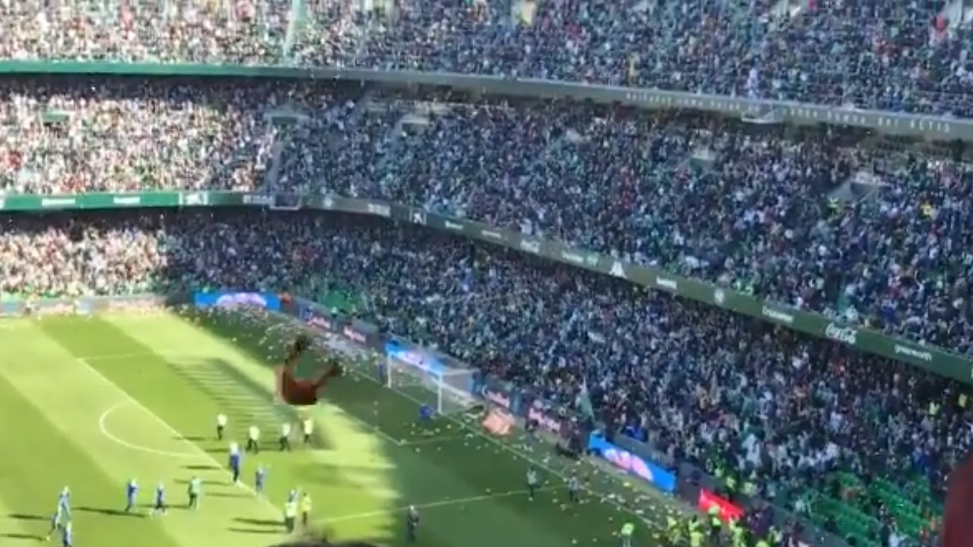 Una lluvia de peluches cae sobre el césped del Benito Villamarín Una lluvia de peluches cae sobre el césped del Benito Villamarín