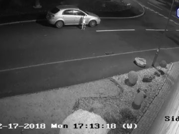 Las duras imágenes que muestran el abandono de un dueño a su perro