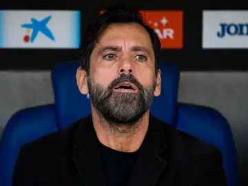 Quique Sánchez Flores, en el banquillo durante un partido Quique Sánchez Flores, en el banquillo durante un partido