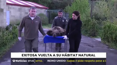 OSO OSO