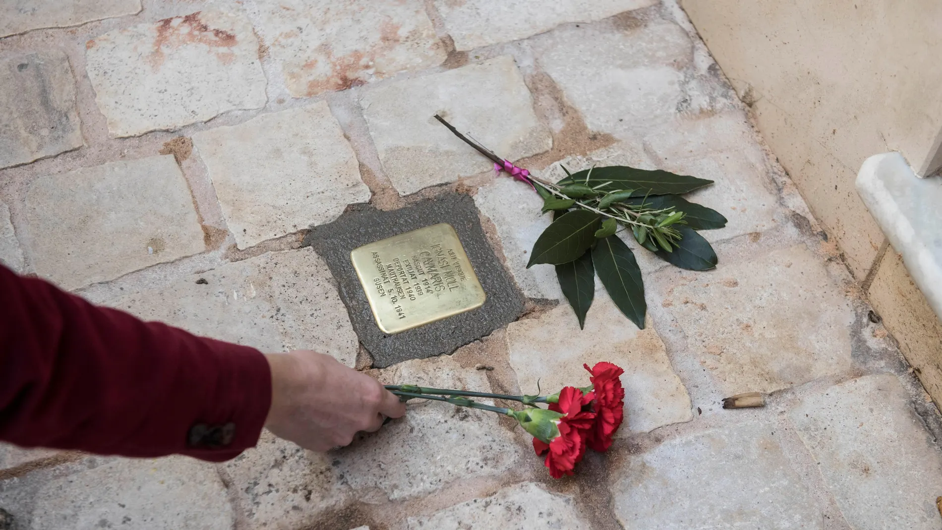 Stolpersteine Stolpersteine