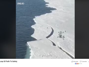 Un pingüino se queda a la deriva Un pingüino se queda a la deriva