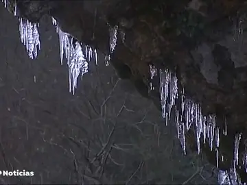REEMPLAZO FRIO POLAR REEMPLAZO FRIO POLAR