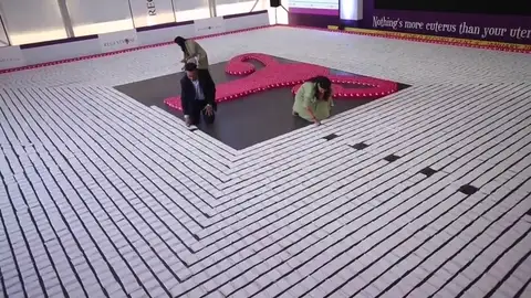 India bate un récord Guiness reivindicativo creando un dibujo con más de 10.000 compresas India bate un récord Guiness reivindicativo creando un dibujo con más de 10.000 compresas