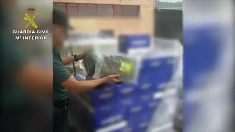 Incautada la mayor cantidad de marihuana en España con un total de 2.700 kilos Incautada la mayor cantidad de marihuana en España con un total de 2.700 kilos