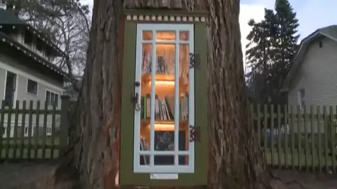 Una antigua encuadernadora de libros se le ocurre la idea de transformar un viejo árbol en increíble biblioteca Una antigua encuadernadora de libros se le ocurre la idea de transformar un viejo árbol en increíble biblioteca