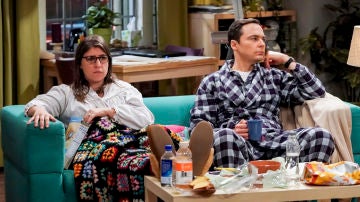 Amy y Sheldon en 'The Big Bang Theory'