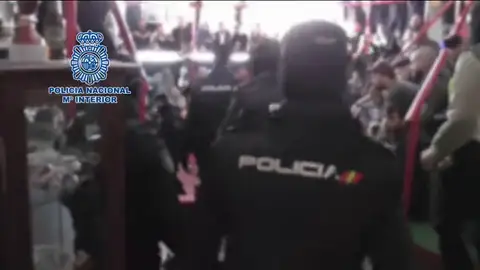 Detenidas 182 personas que participaban en un campeonato nacional de peleas de gallos Detenidas 182 personas que participaban en un campeonato nacional de peleas de gallos