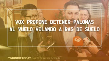 Vox propone detener palomas al vuelo Vox propone detener palomas al vuelo