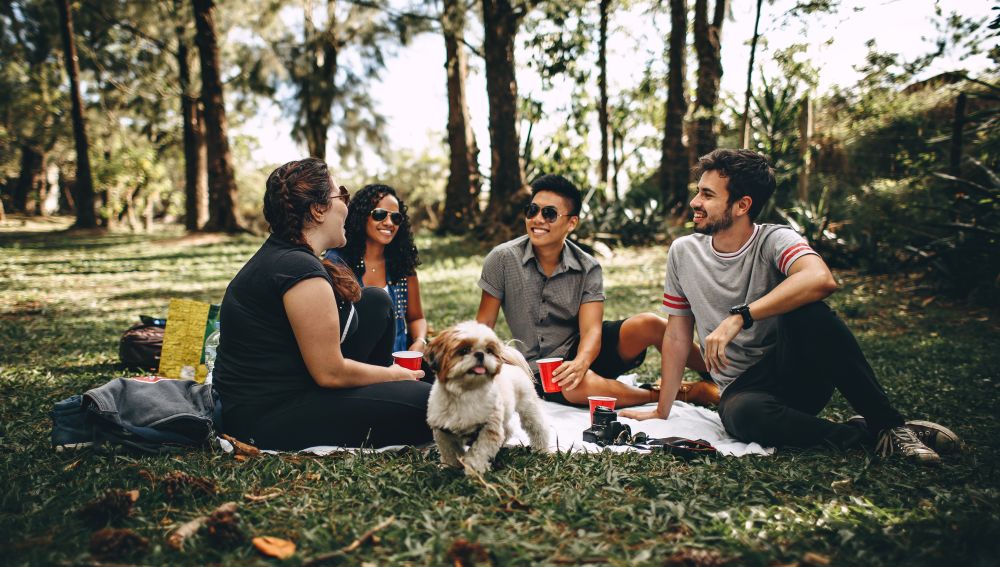 Un grupo de amigos en el parque