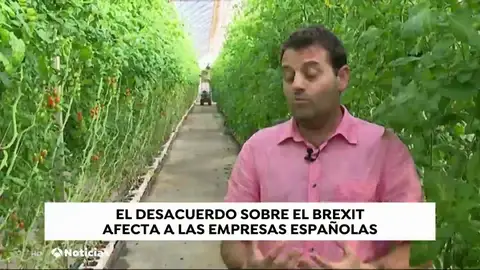 EMPRESAS BREXIT TODSO EMPRESAS BREXIT TODSO
