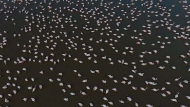 Las imágenes de enero de 2018