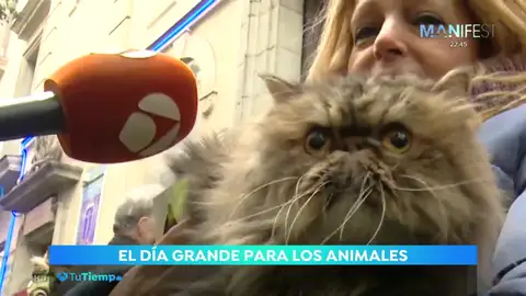 sananton sananton