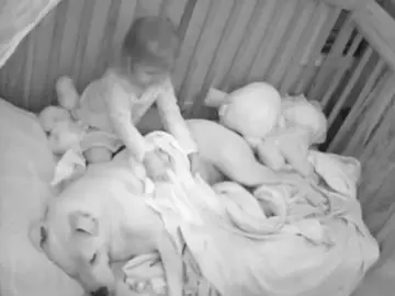 Una niña durmiendo junto a su pitbull Una niña durmiendo junto a su pitbull
