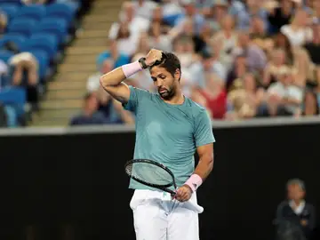Verdasco se lamenta en un partido Verdasco se lamenta en un partido
