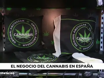 CANNABIS_NUEVA CANNABIS_NUEVA