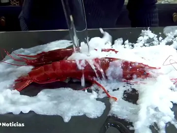 Impresionante: consigue convertir agua de mar en sal en sólo un segundo Impresionante: consigue convertir agua de mar en sal en sólo un segundo