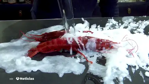 Impresionante: consigue convertir agua de mar en sal en sólo un segundo Impresionante: consigue convertir agua de mar en sal en sólo un segundo