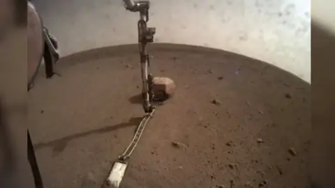 El sismómetro de Insights en Marte pone a prueba su brazo robótico El sismómetro de Insights en Marte pone a prueba su brazo robótico