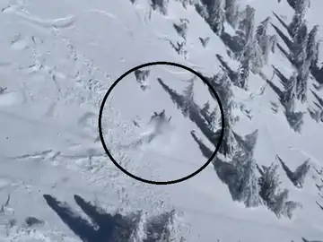 Un esquiador, sepultado por una avalancha Un esquiador, sepultado por una avalancha